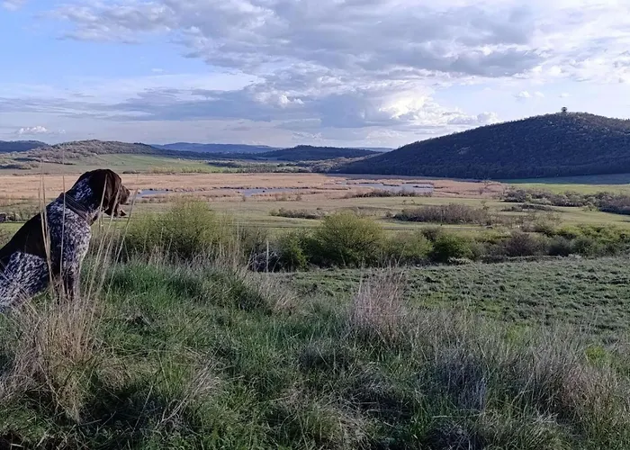 アパート By Interhome *